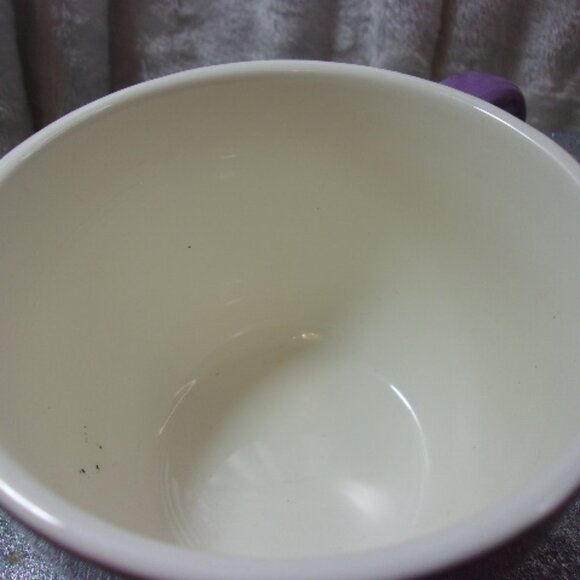 H-465 SANDRA MAGSAMEN STUDIO "YOU'RE AMAZING" DAISY MUG - Picture 4 of 8